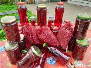 produse naturale de casa