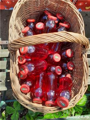 produse naturale de casa