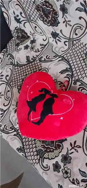 perna inimioara - imagine 4