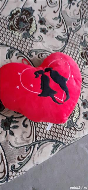 perna inimioara - imagine 5