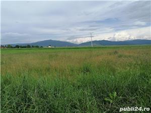 Brasov - Prejmer, 30.000 mp teren intravilan, PUZ vile. - imagine 11