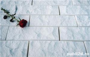 Marmura scapitata White Spider