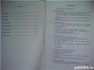 Teste licenta cunostinte fundamentale , UMF Timisoara , 1999 - imagine 2