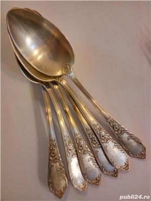 Tacâmuri Norblin Polonia