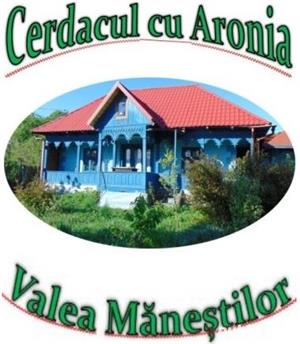 Vand fructe si produse din fructe Aronia Bio: Tinctura, Otet, Dulceata, Sirop, Concentrat  - imagine 4