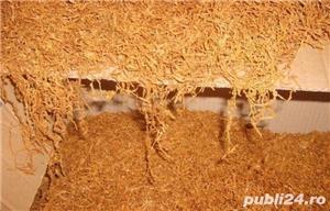 tut-un f.iricel de fabrica diverse arome - imagine 4