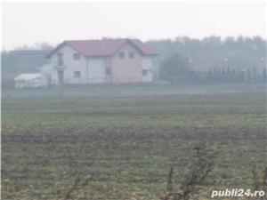 Proprietar, vand sub pretul pietei, 5000 m.p. teren extravilan Ciolpani-Gruiu. - imagine 6