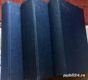 Trecute vieti de doamne si domnite, constantin gane