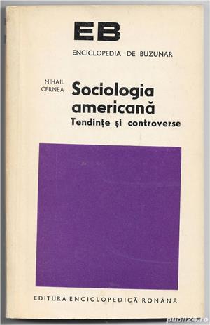 Sociologia americana - Tendinte si controverse