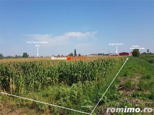 TEREN INDUSTRIAL CU PUZ | 5,2 HA | BORS - ORADEA - imagine 3