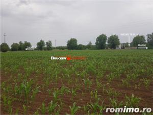 TEREN CU POTENTIAL INDUSTRIAL | 4,35 HA | ARAD, ZADARENI - imagine 6