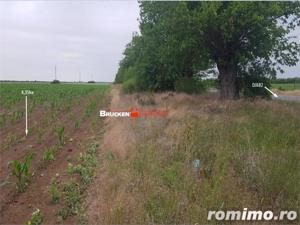 TEREN CU POTENTIAL INDUSTRIAL | 4,35 HA | ARAD, ZADARENI - imagine 9