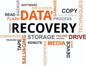 Data recovery profesional service bacau