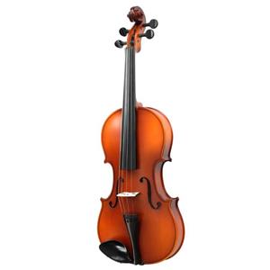 Vioara 3 4 Economica Standard Hora Reghin