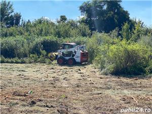 Defrisare,curatare pasune,igienizare,tocare vegetatie, ambrozie,tufisuri etc - imagine 4