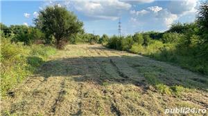 Defrisare,curatare pasune,igienizare,tocare vegetatie, ambrozie,tufisuri etc - imagine 2