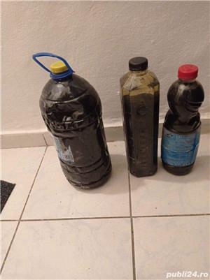 Namol din lacul Techirghiol