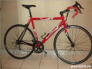 Cursieră Bottecchia Campagnolo Nouă