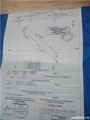 Pamant Intravilan Catalina, jud Maramures - imagine 4