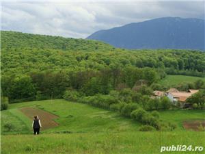 Teren Poiana Marului - Brasov cu PUZ  - imagine 3