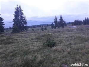 Teren in zona Belisului ptr. Cabană, pensiune, etc. la 5 km de lac  si pârtia de schi Măris el - imagine 5