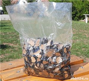 trufe negre in suc propriu 