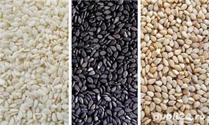 Susan seminte vrac importator