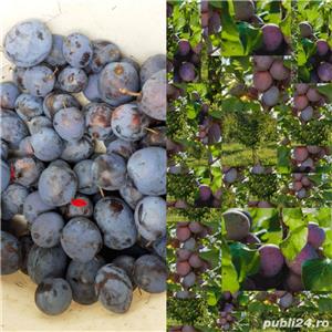 Palinca de Prune - imagine 3