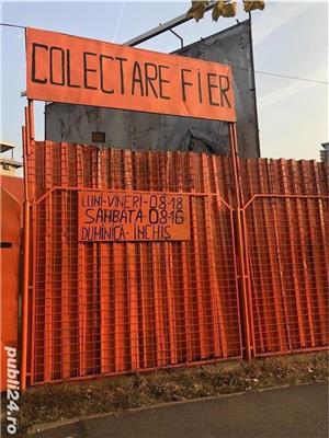 FIER   TABLA 0.90 lei kg - imagine 5