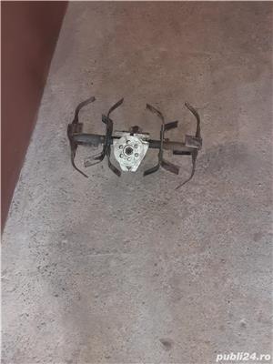 Prasitoare - imagine 2