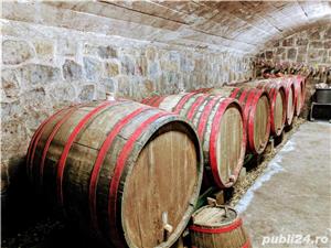  Coniac si palinca de mere sau prune sau pere