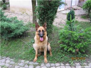 Julianne moore,anthony hopkins,bruce willis,kevin costner,clint eastwood,richard gere,dvd filme lux - imagine 4