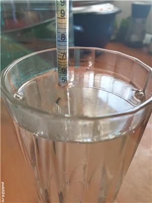 Vand tuica tescovina