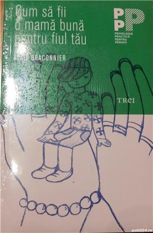 Cum sa fii o mama buna pentru fiul tau de Alain Braconnie