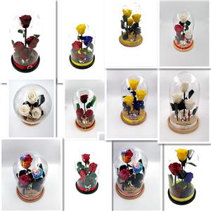 Aranjament 3 trandafiri criogenati BiaRose 6,5cm in cupola de sticla cu inaltimea de 28-30cm  - imagine 5