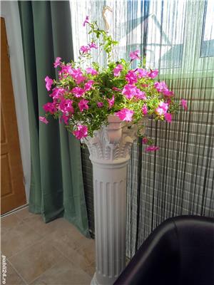 Coloane romane ornamentale - imagine 3