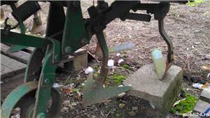 Claas bun - imagine 2