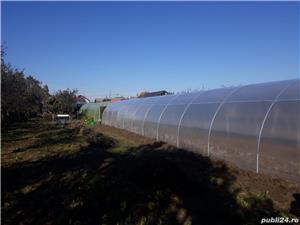 Solar metalic pentru legume si flori 24 m lungime /4 m deschidere/ 2,5 m inaltime - imagine 2