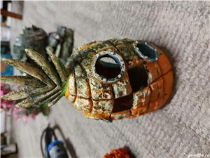 Acvariu de vanzare si accesorii - imagine 3