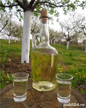 Pălincă si tuica de prune