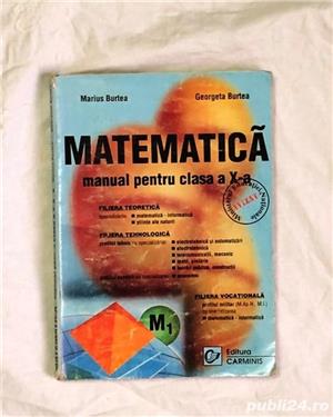 matematica clasa a x-a de marius burtea si gerogeta burtea editura carminis, 2005, 272 pagini 