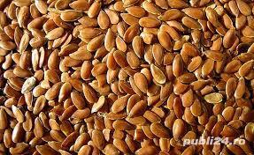 Seminte de in,100% natural fara aditivi sau conservanti,19 lei/kg