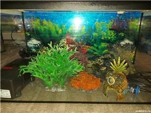 Filtru de acvariu si accesorii - imagine 3