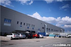 Logicor Mogosoaia, hale industriale Mogosoaia, 2.300 - 45.001mp, id 14503, doar prin Esop 0%comision - imagine 7