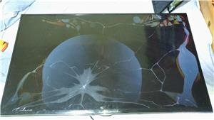 samsung 40ec890 BN94-07552  bn44-00709 l48x1t_esm bn41-02110 - imagine 5