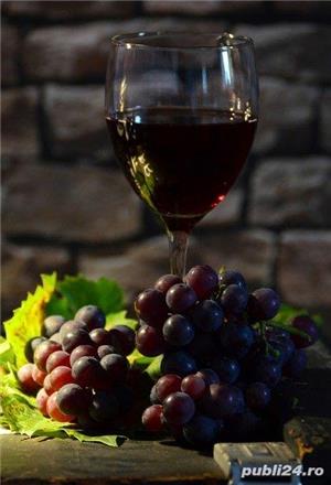 Vin natural podgorie proprie