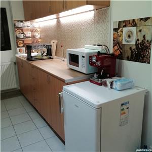 Regim Hotelier Apartament cu 2 camere Greta Resita Residence - imagine 5