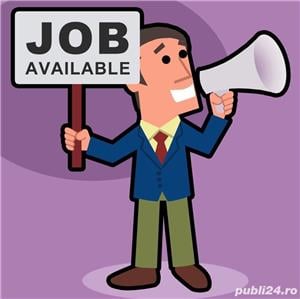 Restaurant NEVADA angajează Șofer Livrări Domiciliu - imagine 2