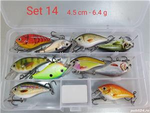 Vand naluci clean, biban si pastrav - imagine 5