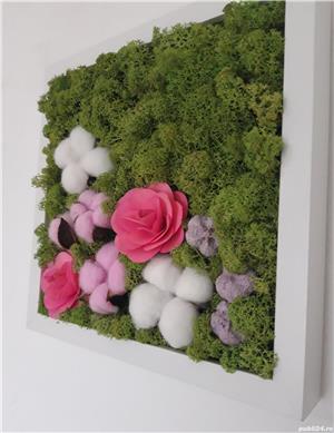 Tablou licheni naturali 'Trandafiri roz' 25 x 25 cm - imagine 4